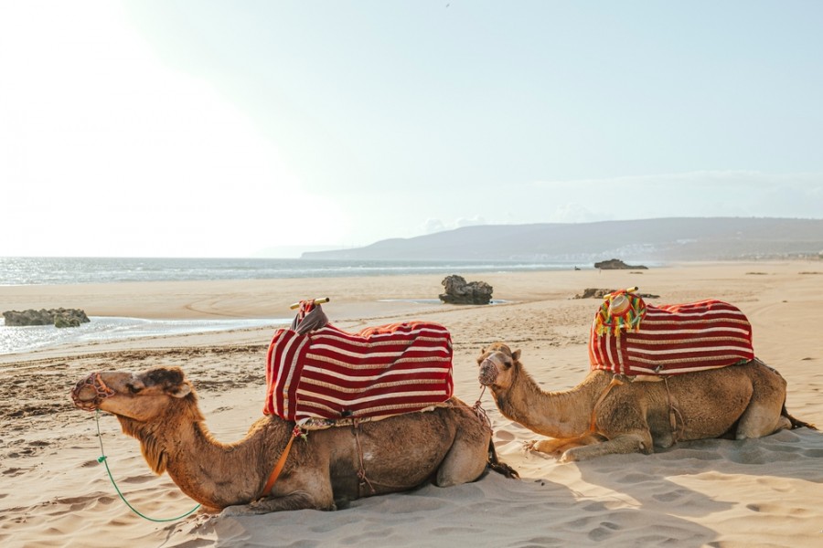 Où aller au Maroc au bord de la mer ?