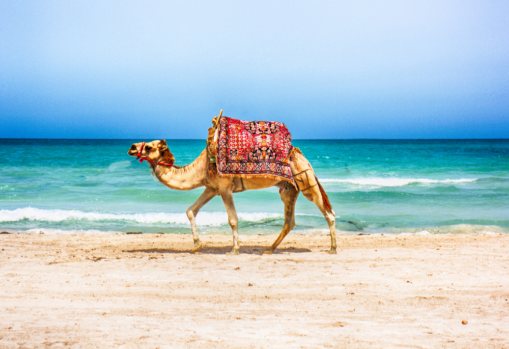 Plage au Maroc : Notre sélection de plages paradisiaques