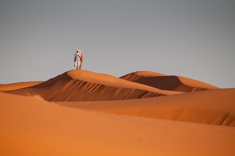 Quels sont les bons plans au Maroc en ce moment ?