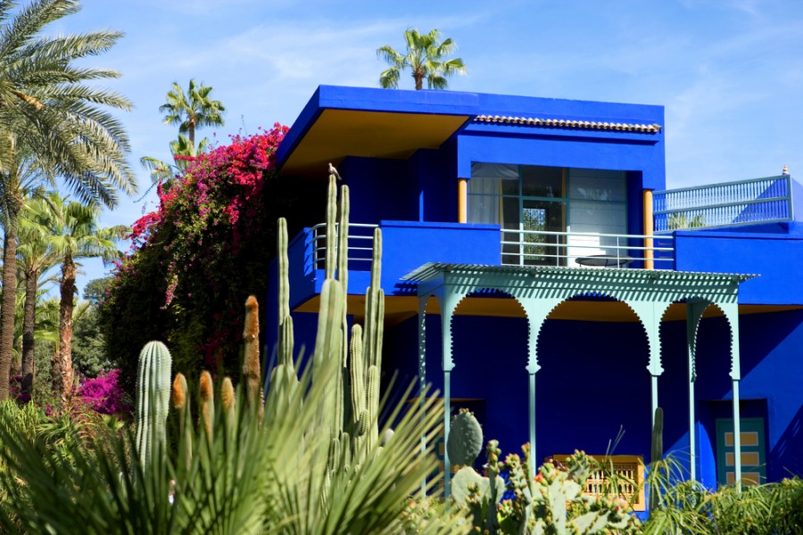 Découvrez le célèbre bleu du jardin Majorelle