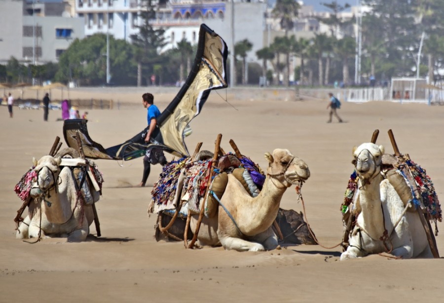Dakhla est-elle une destination de surf à privilégier au Maroc ?