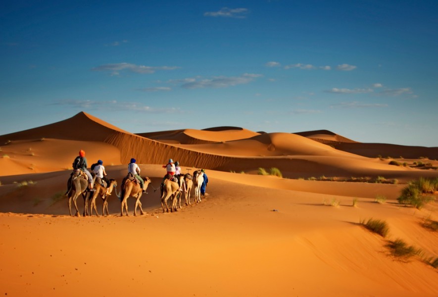 Désert du Maroc : les meilleurs activités