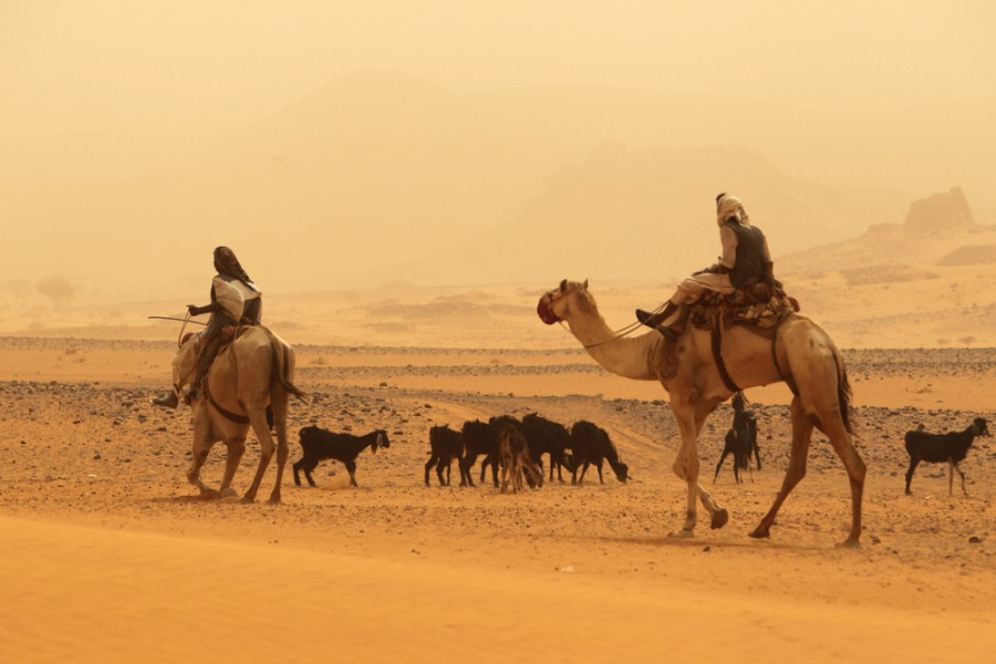Qui sont les nomades du désert du Sahara et comment vivent-ils ?