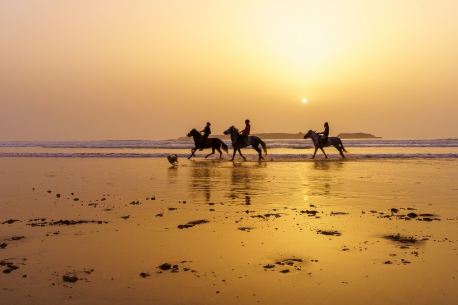 Quelle est la plus belle plage du Maroc à découvrir ?