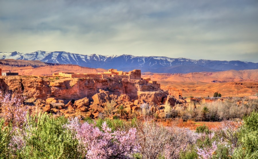 Quand visiter la Vallée des roses au Maroc ?