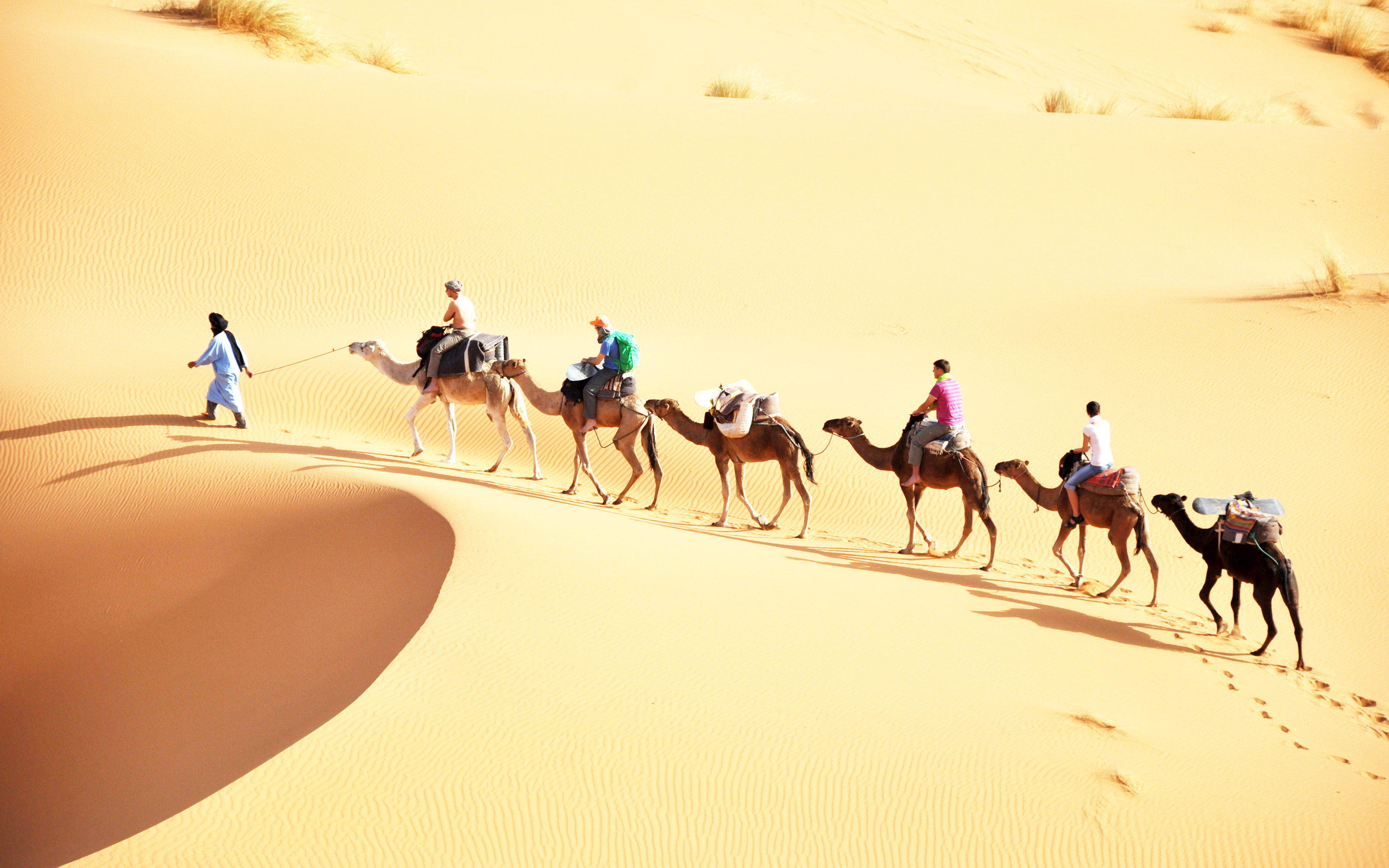 Les activités à faire au Maroc